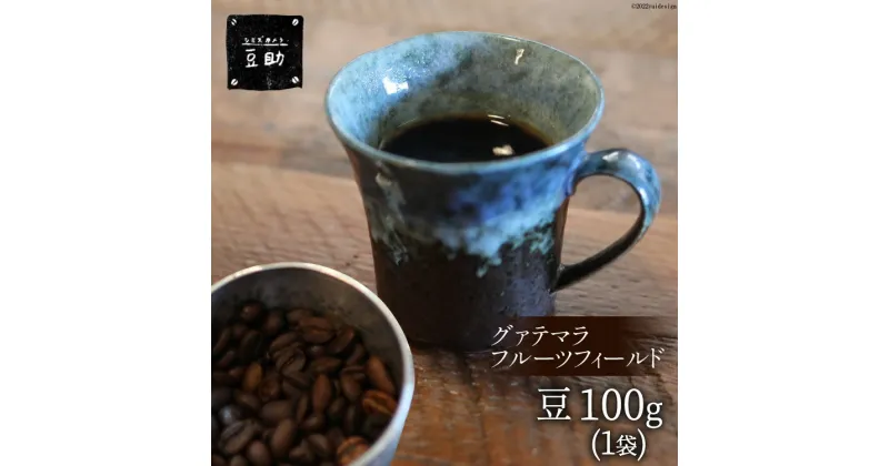 【ふるさと納税】コーヒー 豆 グァテマラフルーツフィールド 100g×1袋 珈琲 / 豆助 / 山梨県 中央市