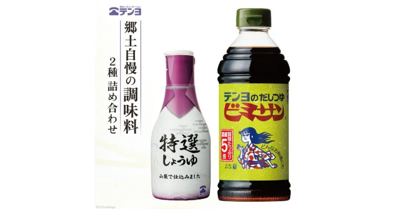 【ふるさと納税】調味料 テンヨ お試し 2種セット 特選しょうゆ & だしつゆビミサン 詰め合わせ TP-10B / 武田食品 / 山梨県 中央市 [21470489] 醤油 出汁 だし つゆ セット