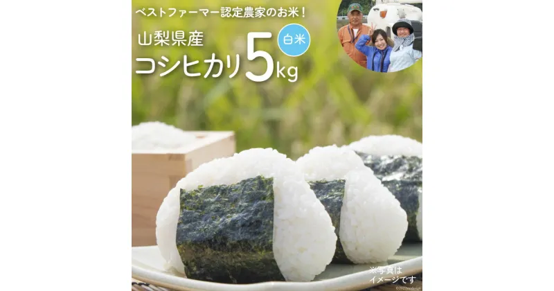 【ふるさと納税】米 令和6年 コシヒカリ ( 白米 ) 5kg [網倉さん家のお米 山梨県 中央市 21470912] お米 こしひかり ご飯 ごはん 精米 美味しい おこめ こめ コメ 5キロ