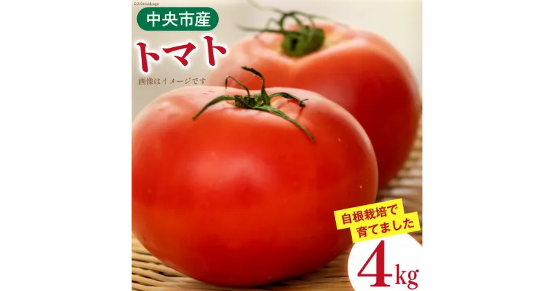 【ふるさと納税】トマト 中央市産トマト 4kg 18‐24個 [とまと舎たかの 山梨県 中央市 21470758] 野菜 やさい とまと 甘い リコピン