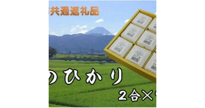 【ふるさと納税】【中央市共通返礼品】中央市産お米(ひのひかり)9個詰合せ [5839-1665] 　【お米・ヒノヒカリ】　お届け：決済確認から1?2ヶ月程度