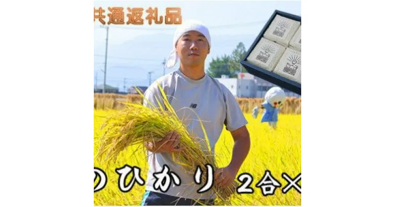 【ふるさと納税】【中央市共通返礼品】中央市産お米(ひのひかり)6個詰合せ [5839-1664] 　【お米・ヒノヒカリ】　お届け：決済確認から1?2ヶ月程度