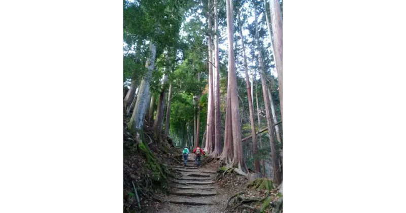 【ふるさと納税】囲炉裏付き古民家に泊まり、登山ガイドと霊峰・七面山に登ろう！（宿泊体験チケット2名様分）【 旅行 体験・チケット 山梨県 早川町 】