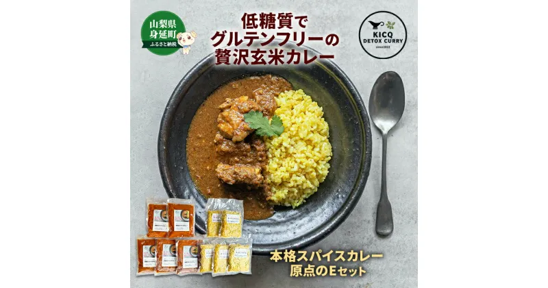 【ふるさと納税】刺激的なスパイスがクセになる 本格スパイスカレーライス5食　原点のEセット　【 惣菜 洋食 便利 ランチ 夕飯 グルテンフリー ターメリックライス 】