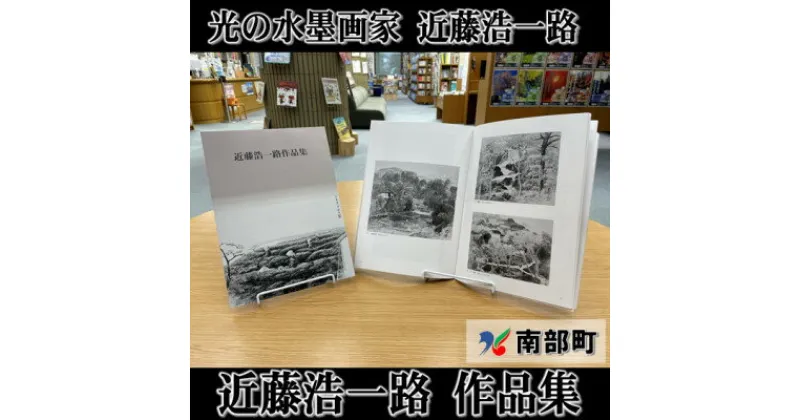 【ふるさと納税】南部町立美術館　常設展図録『近藤浩一路作品集』【1466539】