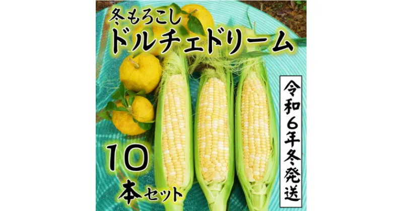 【ふるさと納税】【令和6年11月～発送分受付】朝採り「冬もろこし」!「ドルチェドリーム」10本セット(約5キロ)【配送不可地域：離島・北海道・沖縄県・中国・四国・九州】【1467652】