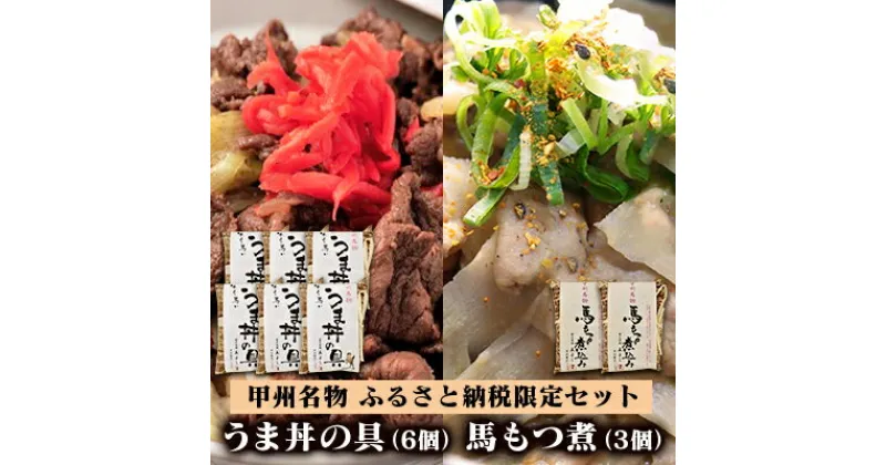 【ふるさと納税】甲州名物！牛より馬い「うま丼の具」6個＆「馬もつ煮」3個ふるさと納税限定セット　馬肉 桜肉 国産 ご当地グルメ 郷土料理