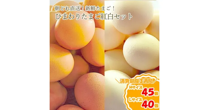 【ふるさと納税】農林水産大臣賞受賞！ひまわりたまご 紅白セット（40〜45個）※破卵補償10個含（冷蔵） 卵 鶏卵 玉子 最短