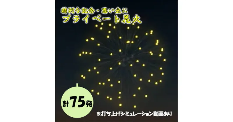 【ふるさと納税】【特別な記念・思い出に】プライベート花火（75発） 花火 はなび 記念 思い出 プライベート アニバーサリー 誕生日 記念日 結婚 プロポーズ