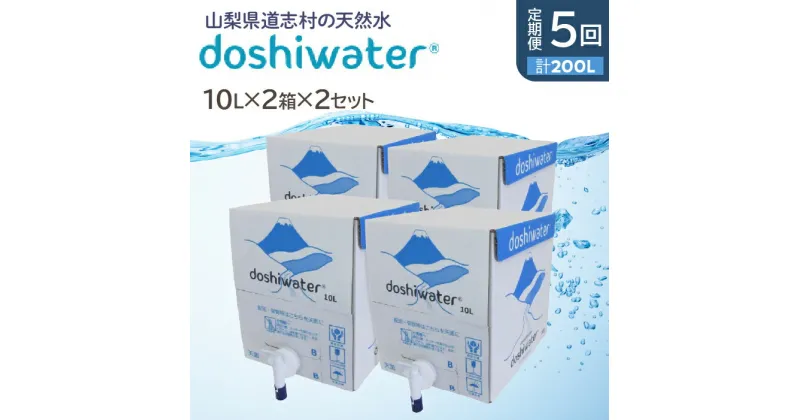 【ふるさと納税】 【定期便】【山梨　道志村の天然水】doshiwater BIB40L(10L×2箱×2セット)　大好評の大容量サイズ2セット【5回定期】 ふるさと納税 天然水 ミネラルウォーター 水 お水 アウトドア ペットボトル 山梨県 道志村 送料無料 定期便 DSF006