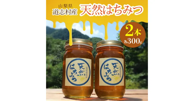 【ふるさと納税】 道志村産　天然はちみつ（300g×2本）ふるさと納税 はちみつ ハチミツ 蜂蜜 ハニー パン 食パン 山梨県 道志村 送料無料 DSD004