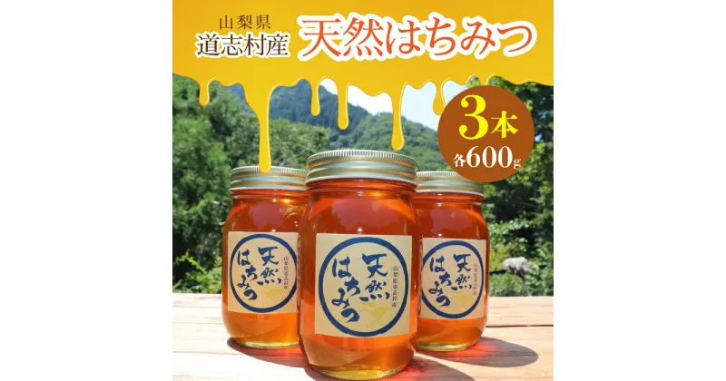 【ふるさと納税】 道志村産　天然はちみつ（600g×3本）ふるさと納税 はちみつ ハチミツ 蜂蜜 ハニー パン 食パン 山梨県 道志村 送料無料 DSD002