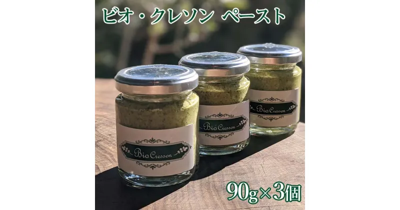 【ふるさと納税】 ビオクレソンペースト (90g×3個)　※離島への配送不可ふるさと納税 クレソン ペースト 野菜 やさい 付け合わせ 調味料 缶詰 瓶詰 山梨県 道志村 送料無料 DSL003