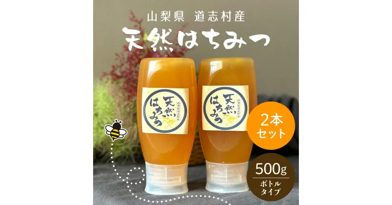 【ふるさと納税】 道志村産　天然はちみつボトルタイプ　500g×2本 ふるさと納税 はちみつ ハチミツ 蜂蜜 ハニー パン 食パン 山梨県 道志村 送料無料 DSD006