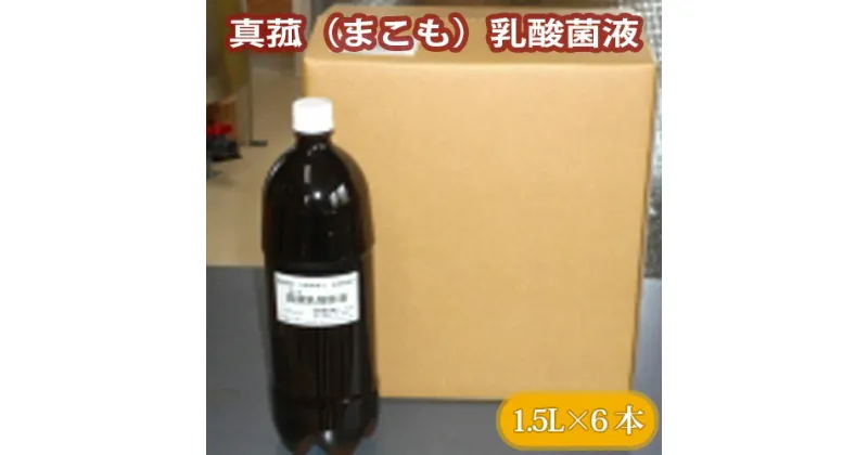 【ふるさと納税】 No.228 真菰（まこも）乳酸菌液　1.5L×6本 ／ マコモ 液体 送料無料 山梨県