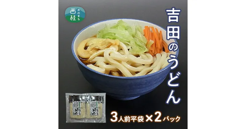 【ふるさと納税】 No.353 吉田のうどん3人前平袋×2パック（3人前×2パック） ／ 麺 乱切り麺 送料無料 山梨県 特産品