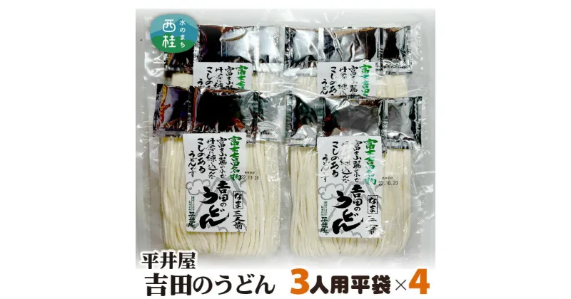 【ふるさと納税】 No.355 吉田のうどん3人前平袋×4パック（3人前×4パック） ／ 麺 乱切り麺 送料無料 山梨県 特産品