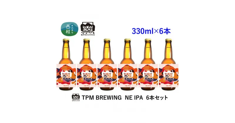 【ふるさと納税】 ビール クラフトビール NE IPA 6本 セット 瓶ビール 地ビール お酒 酒 アルコール 家呑み プレゼント ギフト 贈り物 父の日 送料無料 山梨県 西桂町