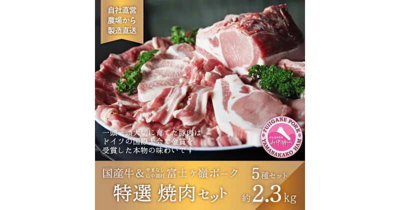 【ふるさと納税】【特選】国産牛・富士ヶ嶺豚の焼肉セット