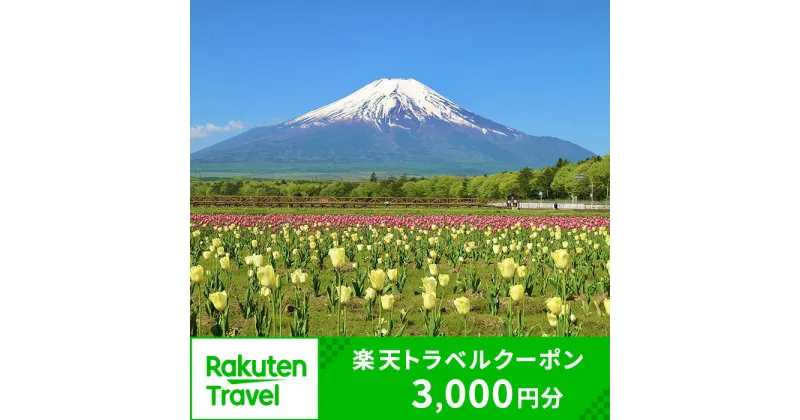 【ふるさと納税】山梨県山中湖村の対象施設で使える楽天トラベルクーポン 寄附額 10,000円