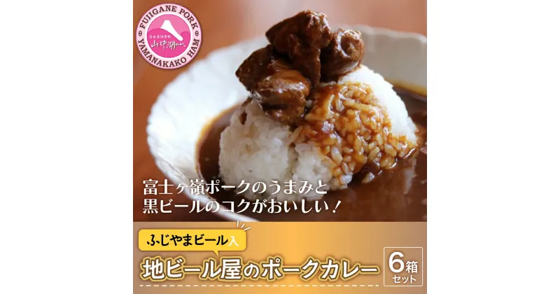 【ふるさと納税】富士山ビールカレー（ちょっと辛口）6パック