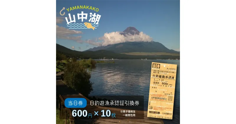 【ふるさと納税】【湖漁業協同組合】山中湖日釣遊漁承認証引換券 (600×10枚)