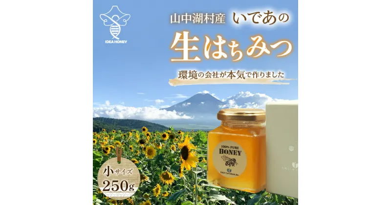 【ふるさと納税】【特製貼箱入り】山中湖村産　はちみつ小　250g ふるさと納税 はちみつ 美容 健康 朝食 ヨーグルト パンケーキ 山梨県 山中湖村 送料無料 YAM003