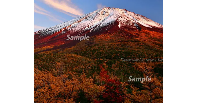 【ふるさと納税】 富士山フォトパネル（秋の夕暮れ）ふるさと納税 富士山 フォトパネル 写真 額装写真 山梨県 鳴沢村 送料無料 NSF003