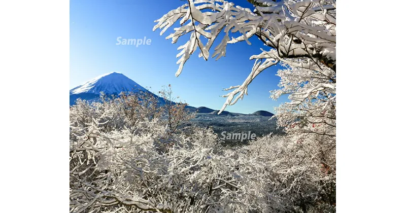 【ふるさと納税】 富士山フォトパネル（雪景色）ふるさと納税 富士山 フォトパネル 写真 額装写真 山梨県 鳴沢村 送料無料 NSF005