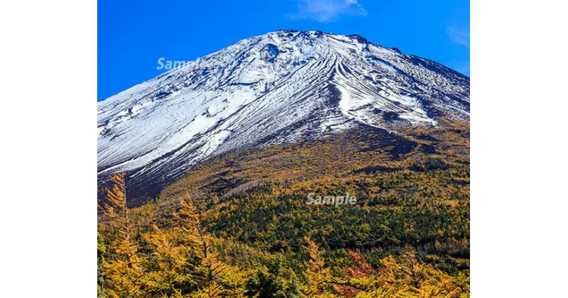 【ふるさと納税】 富士山フォトパネル（秋の空）ふるさと納税 富士山 フォトパネル 写真 額装写真 山梨県 鳴沢村 送料無料 NSF007