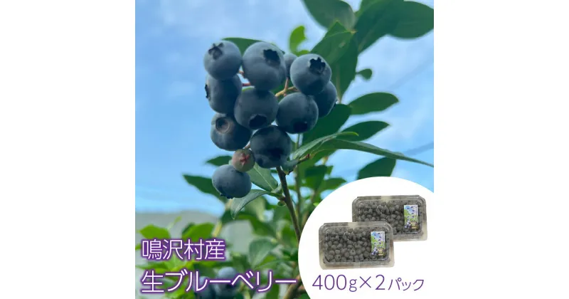 【ふるさと納税】＜25年発送先行予約＞鳴沢村産生ブルーベリー400g×2パック ふるさと納税 ブルーベリー フルーツ 山梨県 鳴沢村 送料無料 NSJ033