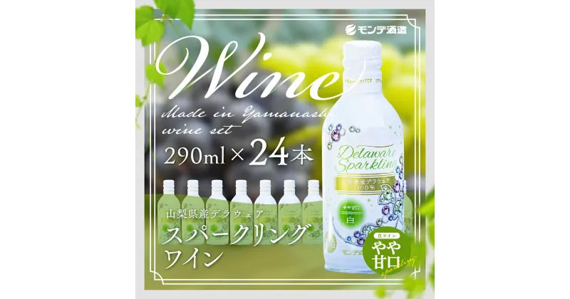 【ふるさと納税】 山梨県産デラウェアスパークリングワイン24本（山梨県産デラウェア種使用/白ワイン/やや甘口） FAE008