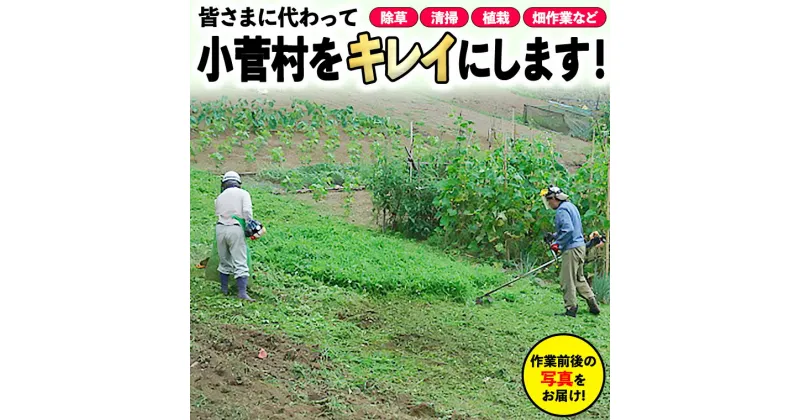 【ふるさと納税】ふるさと小菅をきれいに！除草、清掃等サービス