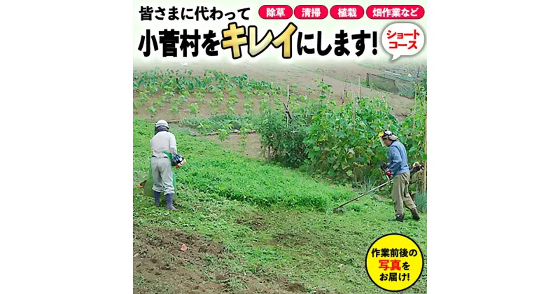 【ふるさと納税】ふるさと小菅をきれいに！除草、清掃等サービス 〜ショートコース〜