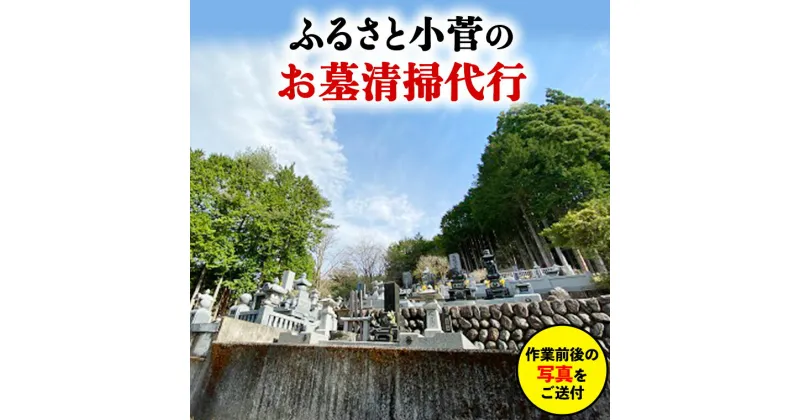 【ふるさと納税】ふるさと小菅のお墓清掃サービス