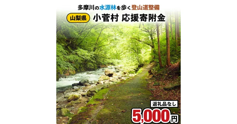 【ふるさと納税】【返礼品なし】多摩川の水源林を歩く登山道整備支援金＜小菅村応援寄附金5,000円＞