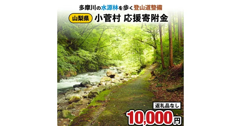 【ふるさと納税】【返礼品なし】多摩川の水源林を歩く登山道整備支援金＜小菅村応援寄附金10,000円＞