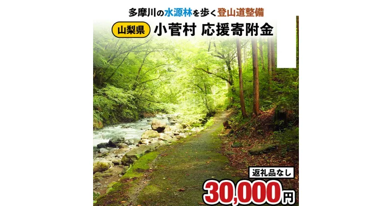 【ふるさと納税】【返礼品なし】多摩川の水源林を歩く登山道整備支援金＜小菅村応援寄附金30,000円＞