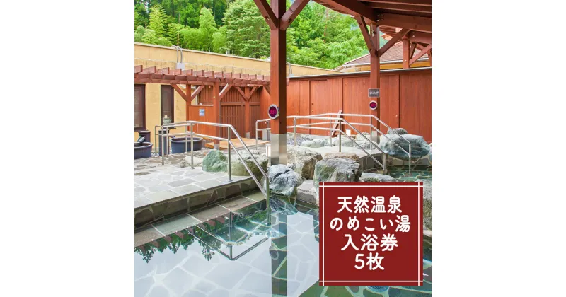 【ふるさと納税】【1年間有効】のめこい湯温泉ご優待券 5枚