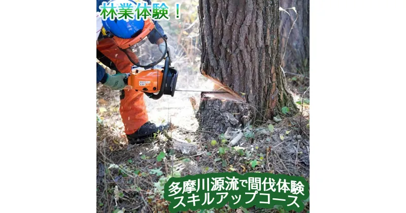 【ふるさと納税】【多摩川の源流で間伐体験】スキルアップコース