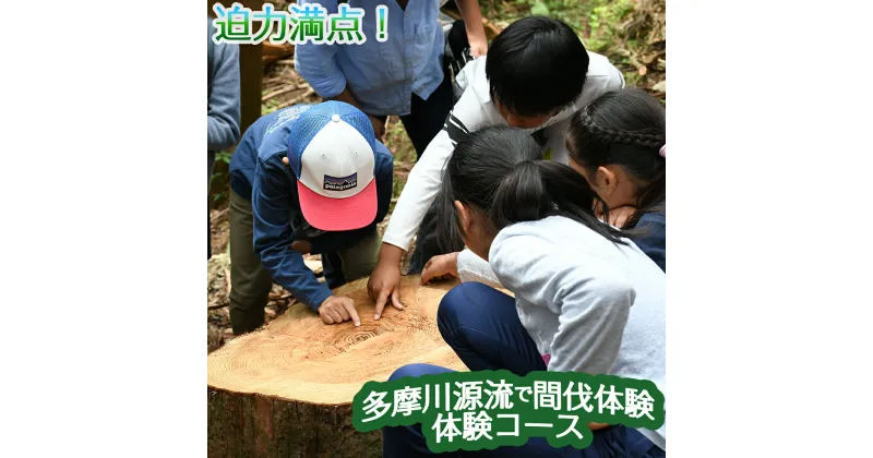 【ふるさと納税】【多摩川の源流で間伐体験】体験コース