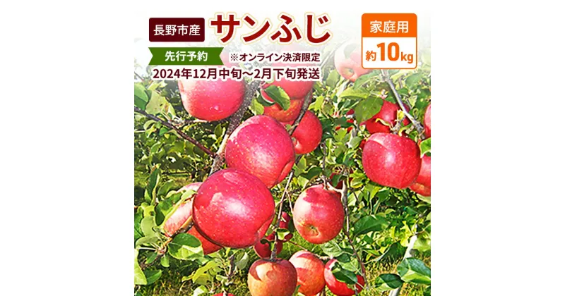 【ふるさと納税】先行予約 長野市産サンふじ家庭用 約10kg 2024年12月～2月発送　※オンライン決済限定　 果物 フルーツ デザート 食後 おやつ 長野県産 信州 りんご 代表品種 濃厚 　お届け：2024年12月10日～2025年2月28日