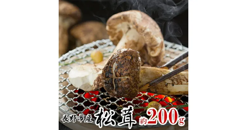 【ふるさと納税】長野市収穫　松茸　約200g（2～3本）　野菜・きのこ・松茸・まつたけ・約200g　お届け：2024年8月下旬～11月上旬