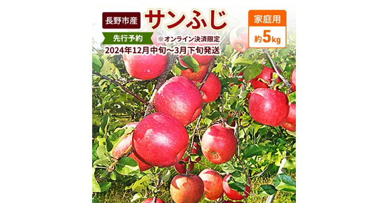 【ふるさと納税】先行予約 長野市産サンふじ家庭用 約5kg 2024年12月～3月発送 ※オンライン決済限定　 果物 フルーツ デザート 食後 おやつ 長野県産 信州 りんご 代表品種 濃厚 　お届け：2024年12月10日～2025年3月下旬