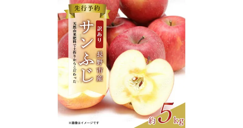 【ふるさと納税】【2024年12月より順次発送 先行予約】 訳あり りんご 長野市産 サンふじ 約 5kg　 長野 果物 林檎 リンゴ フルーツ サンフジ 5キロ 　お届け：2024年12月より順次発送