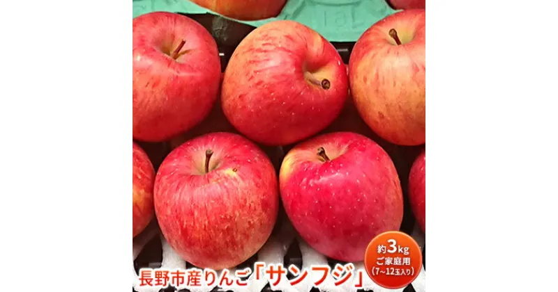 【ふるさと納税】長野市産りんご「サンフジ」約3kg　ご家庭用(7～12玉入り)※配送不可地域あり　果物類 林檎 りんご リンゴ ギフト ふじ フジ 　お届け：2024年11月下旬～2025年2月末日