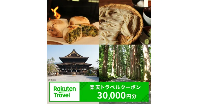 【ふるさと納税】長野県長野市の対象施設で使える　楽天トラベルクーポン　寄付額100,000円(クーポン 30,000円)　 長野 宿泊 宿泊券 ホテル 旅館 旅行 旅行券 観光 トラベル チケット 旅 宿 券