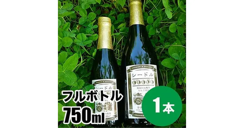 【ふるさと納税】シードルフルボトル 750ml　 お酒 洋酒 スパークリングワイン リンゴ フルーツ