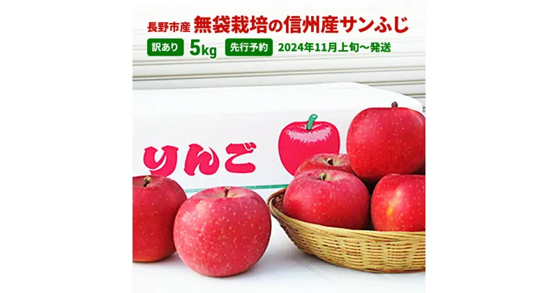 【ふるさと納税】先行予約 長野市産無袋栽培の信州産サンふじ5kg（訳あり）2024年発送　 果物 フルーツ デザート 食後 おやつ 果汁豊富 甘み 酸味 バランス 歯ごたえ 長野県産 信州のリンゴ 　お届け：2024年11月上旬～12月上旬