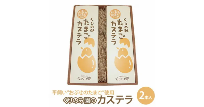 【ふるさと納税】くりのみ園のカステラ（2本入）　 お菓子 和菓子 和スイーツ スイーツ おやつ おぶせのたまご 風味豊か 卵のコク 厳選素材 ふんわり キメが細かい しっとり 有機JAS